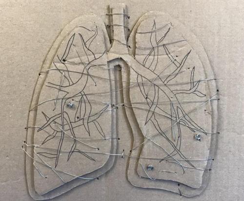 Danielle Russell - Remembering Pop - Cardboard, Wire, and Ink - Paul VI High School