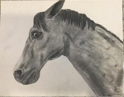 Emma Quigley - Catou - Charcoal - Paul VI High School