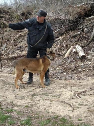 IMG 20220502 135743924