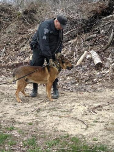 IMG 20220502 135746197